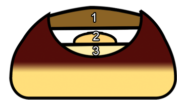 knabbel