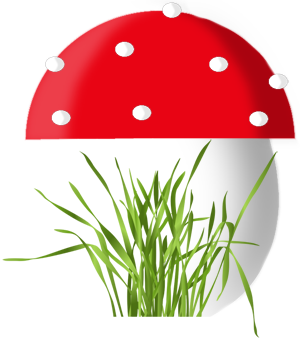 paddestoel