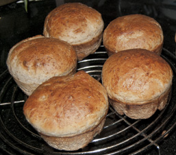 broodcake