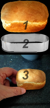 brood
