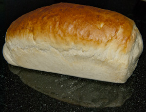 Witbrood