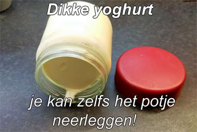yoghurt