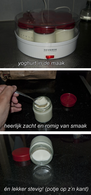 yoghurt