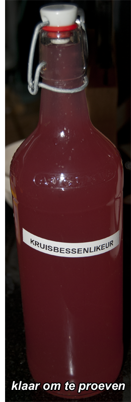 bes1