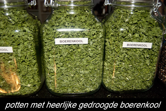 boerenkool