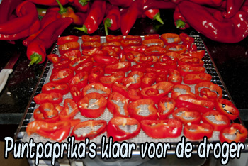 paprika