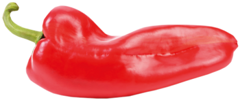 paprika
